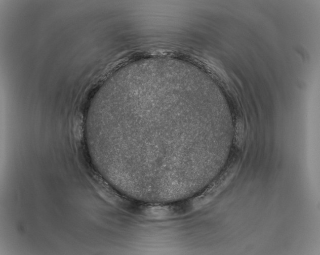 X0000113110413200909181632