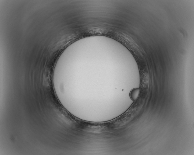 X0000113110414200909181632