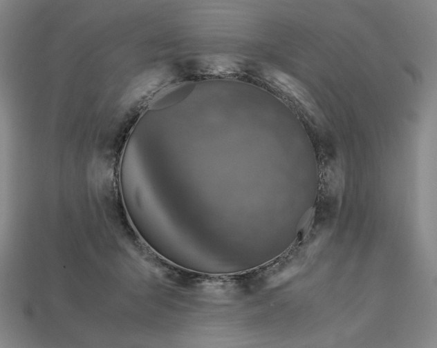 X0000113110415200909181632