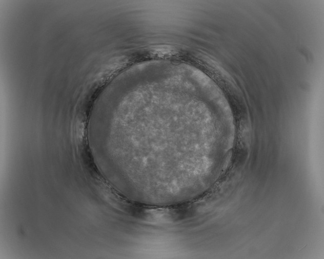 X0000113110417200909181632