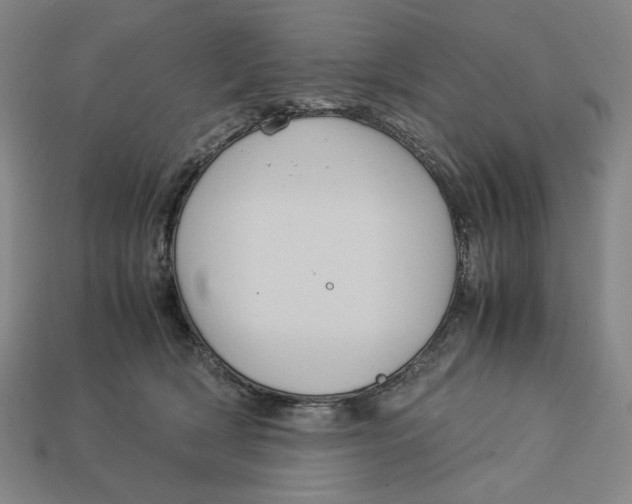 X0000113110418200909181632