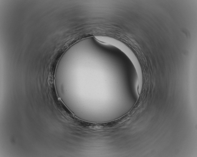 X0000113110419200909181632