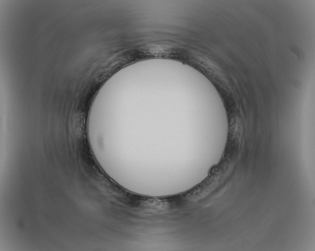 X0000113110421200909181632
