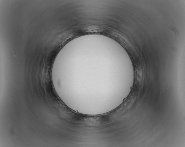 X0000113110422200909181632