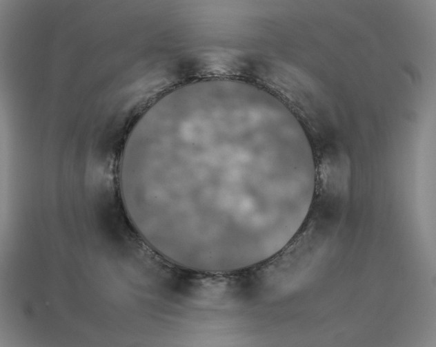 X0000113110423200909181632
