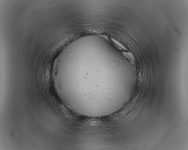 X0000113110424200909181632