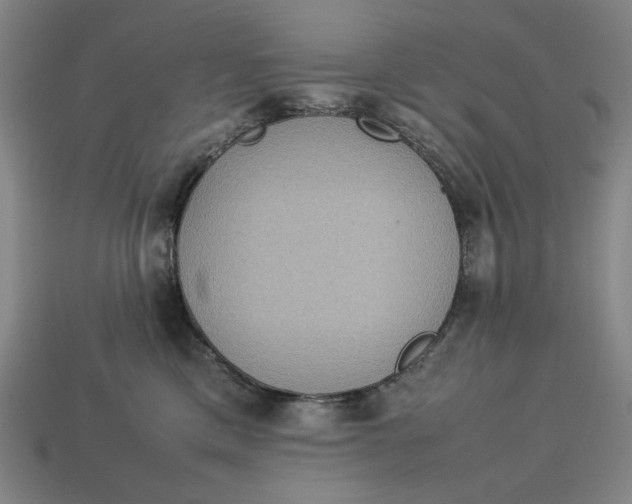 X0000113110425200909181632