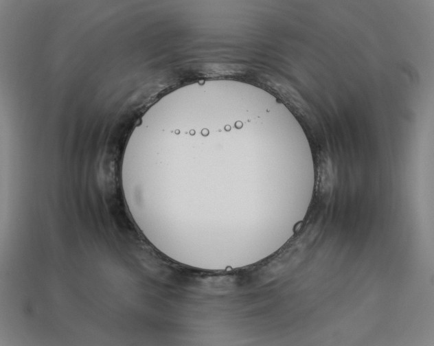 X0000113110426200909181632