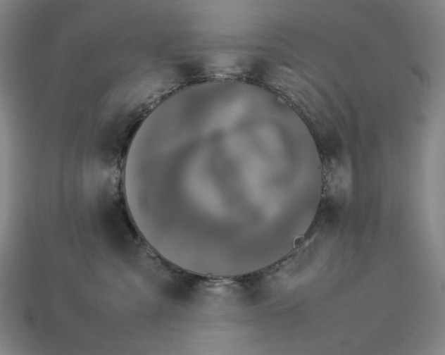 X0000113110427200909181632