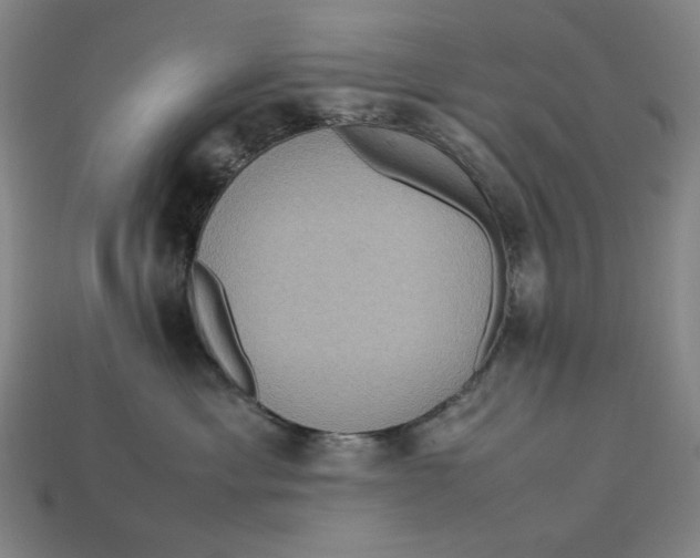 X0000113110429200909181632