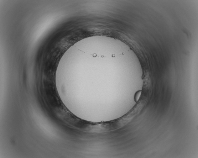 X0000113110430200909181632
