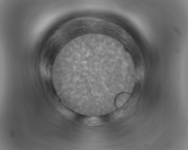 X0000113110431200909181632