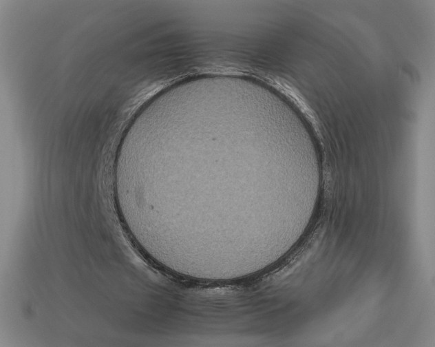 X0000113110433200909181632