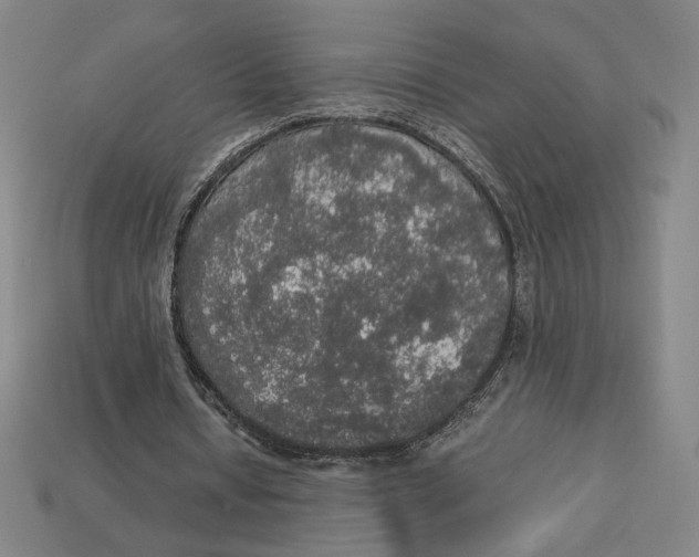 X0000113110434200909181632