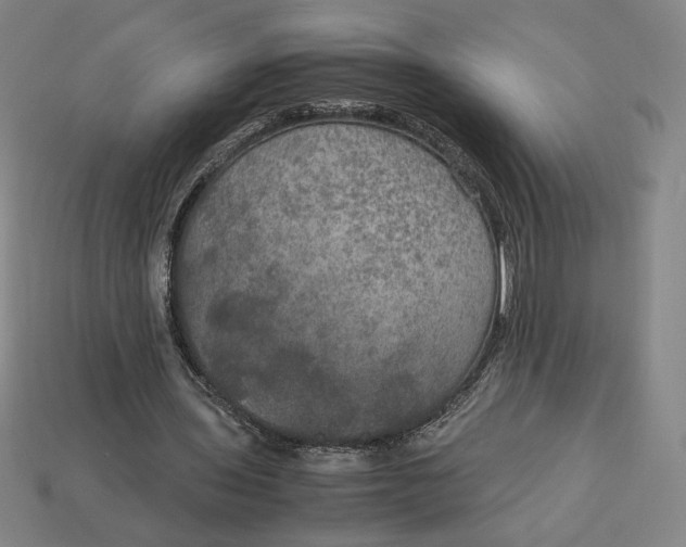 X0000113110435200909181632