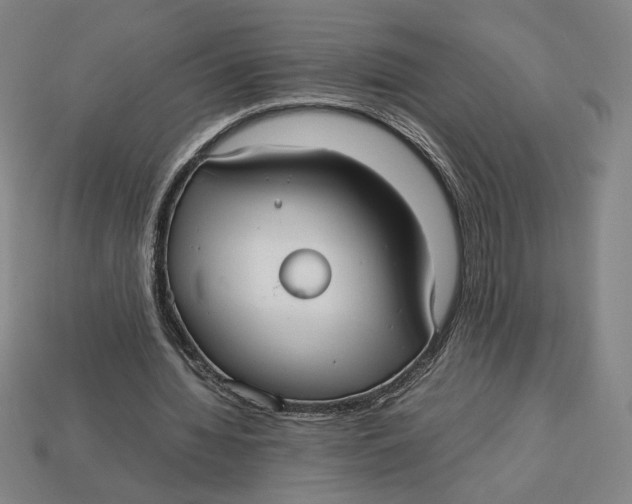 X0000113110436200909181632