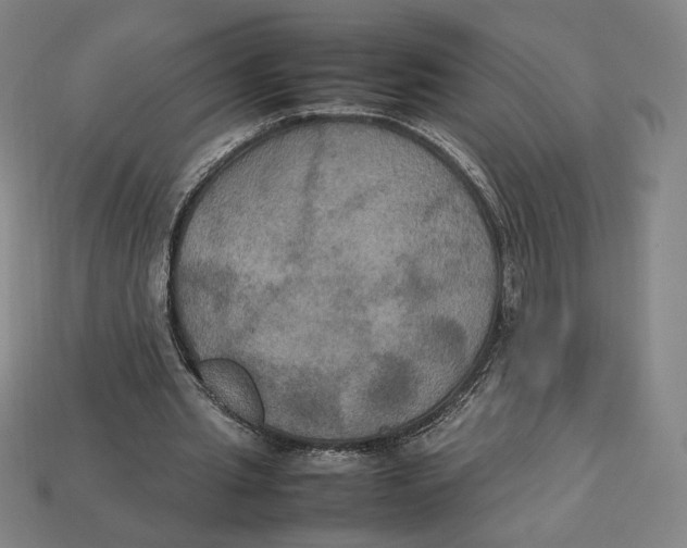 X0000113110437200909181632
