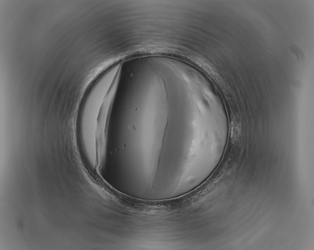 X0000113110438200909181632