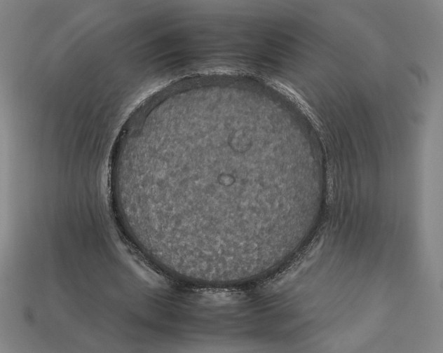 X0000113110439200909181632