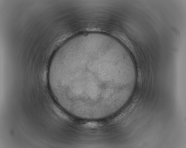 X0000113110441200909181632
