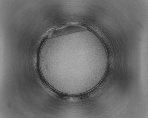 X0000113110442200909181632