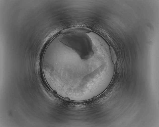 X0000113110443200909181632