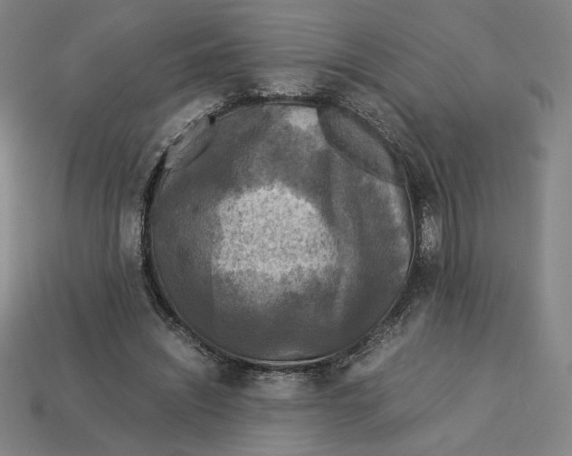 X0000113110444200909181632