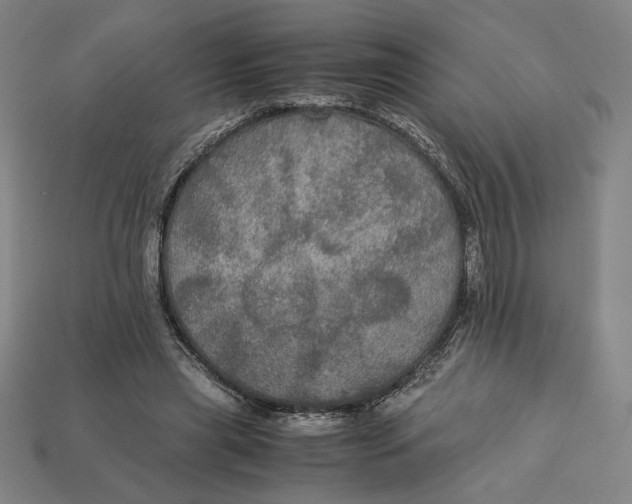 X0000113110445200909181632
