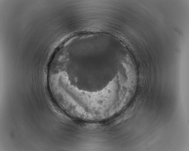 X0000113110446200909181632
