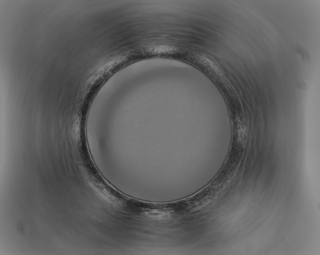 X0000113110447200909181632