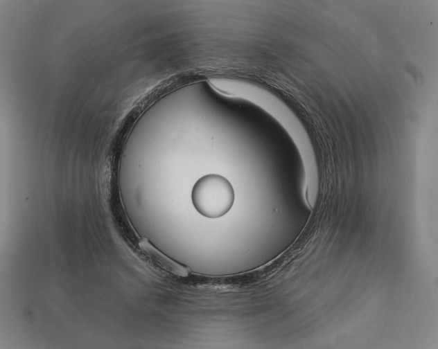 X0000113110448200909181632
