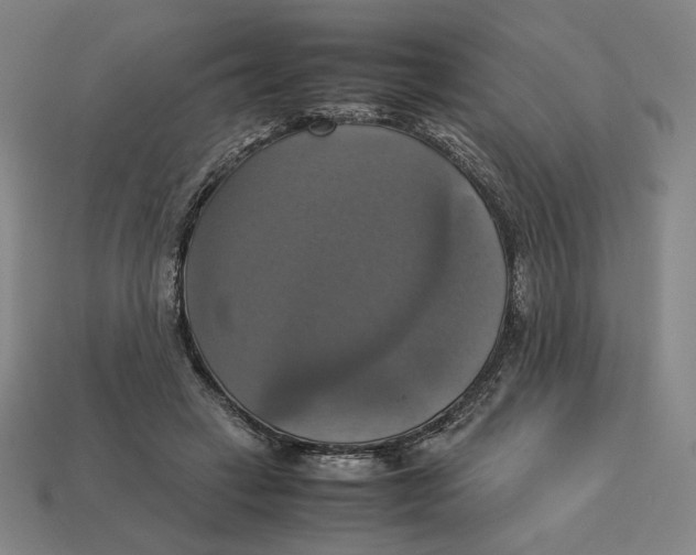 X0000113110449200909181632