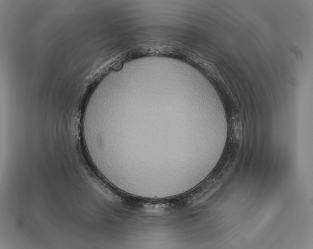X0000113110450200909181632