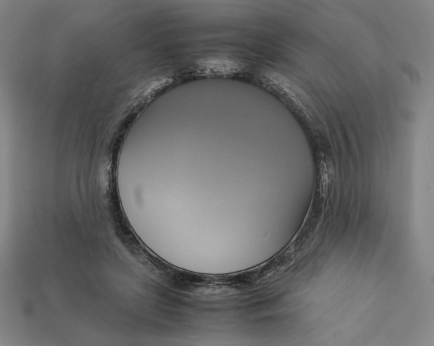 X0000113110451200909181632