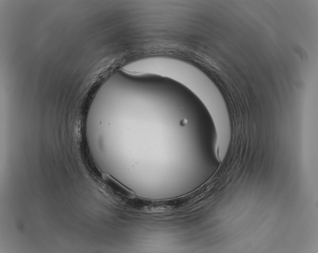 X0000113110452200909181632