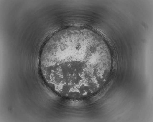 X0000113110453200909181632