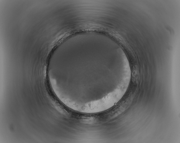 X0000113110454200909181632