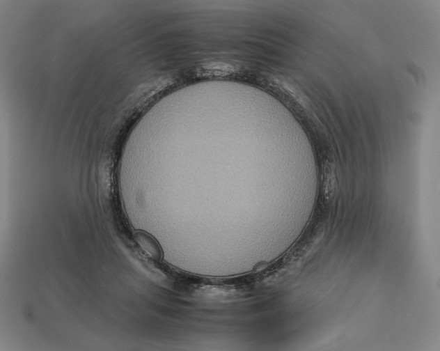 X0000113110455200909181632
