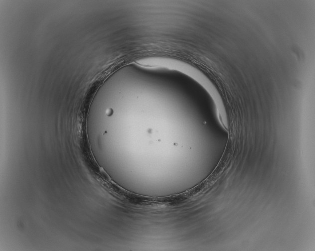 X0000113110456200909181632
