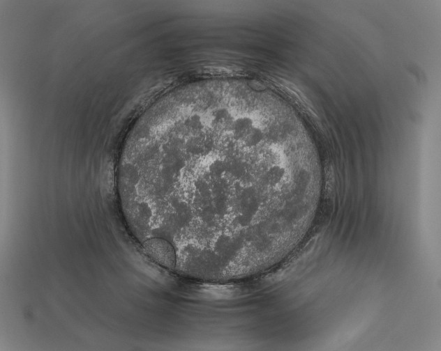 X0000113110457200909181632