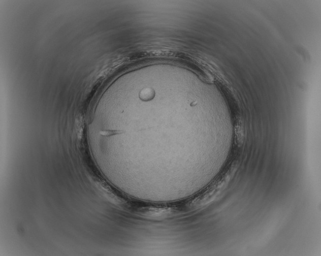X0000113110458200909181632