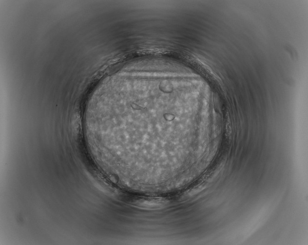 X0000113110459200909181632