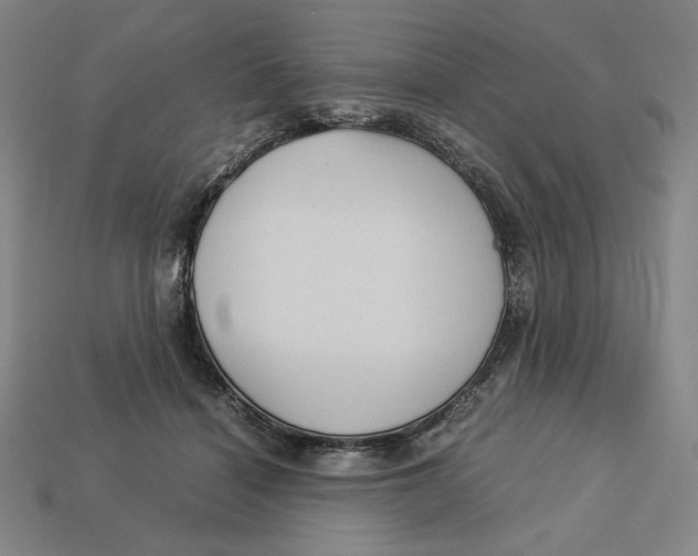 X0000113110460200909181632