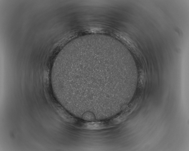 X0000113110461200909181632