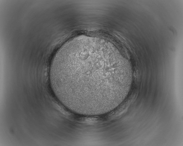 X0000113110462200909181632