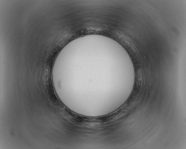 X0000113110463200909181632