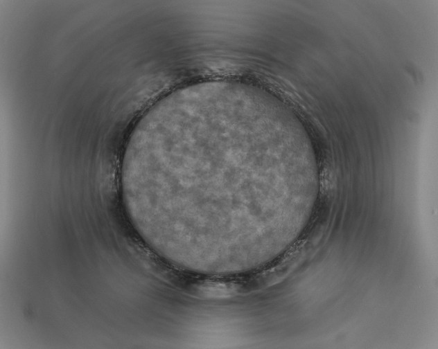 X0000113110464200909181632
