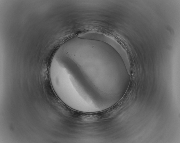 X0000113110465200909181632