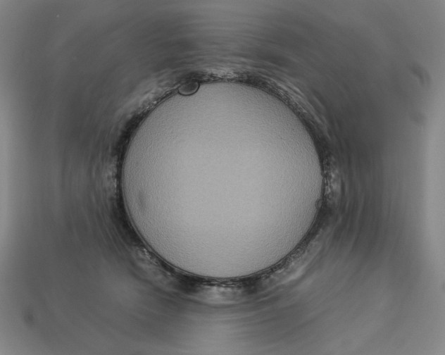 X0000113110466200909181632