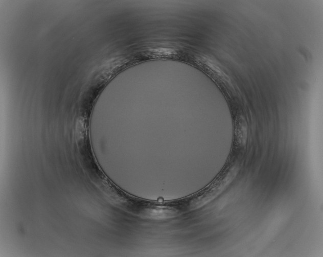 X0000113110467200909181632